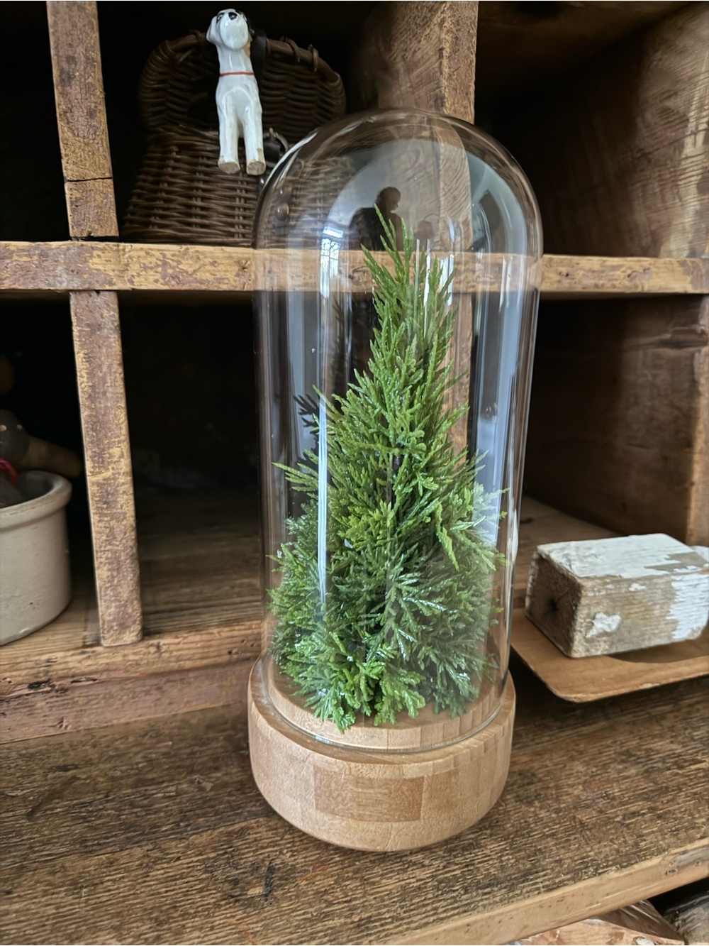 Glass Cloche Faux Pine Tree Wood Base Holiday Home Decor
